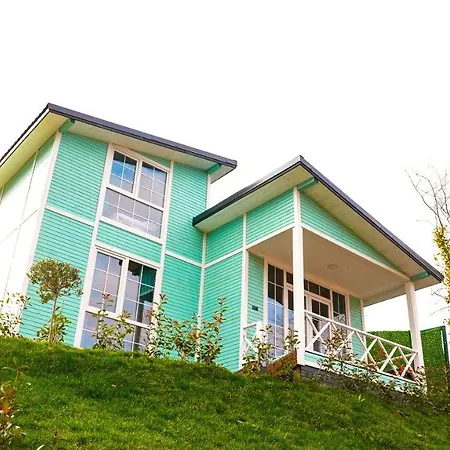 Naturel Sapanca 木屋 *