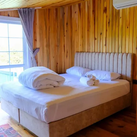 Naturel Sapanca 木屋 穆达尼亚