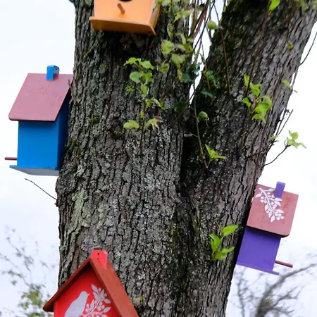 Naturel Sapanca 木屋 穆达尼亚