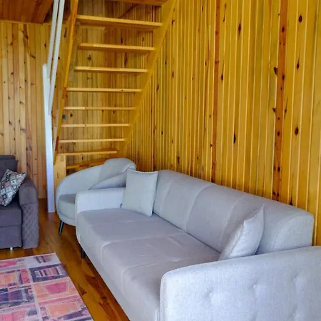 Naturel Sapanca 木屋 穆达尼亚