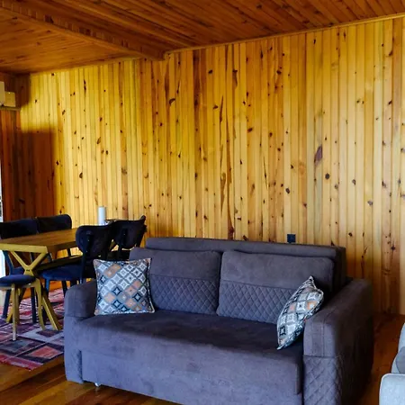 Naturel Sapanca 木屋