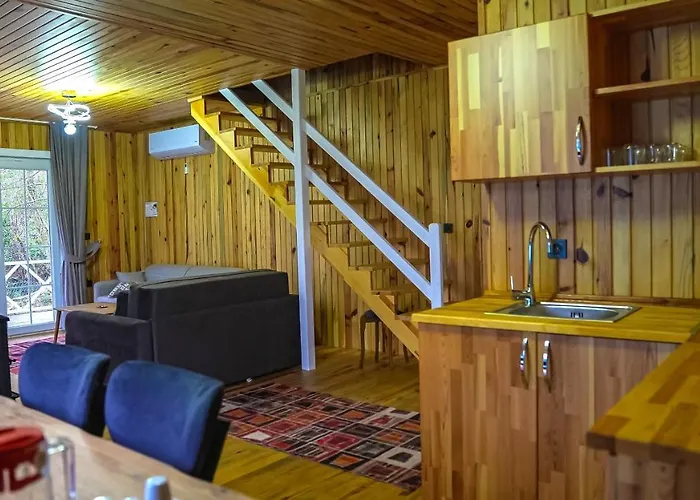 Naturel Sapanca Domek alpejski