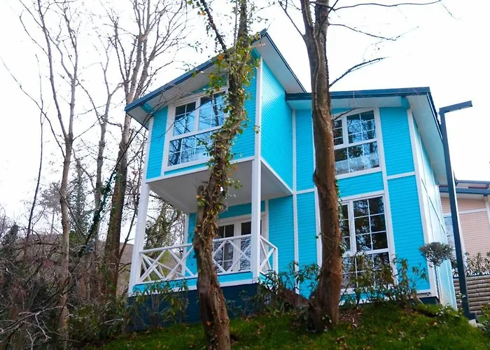 Naturel Sapanca Mudanya