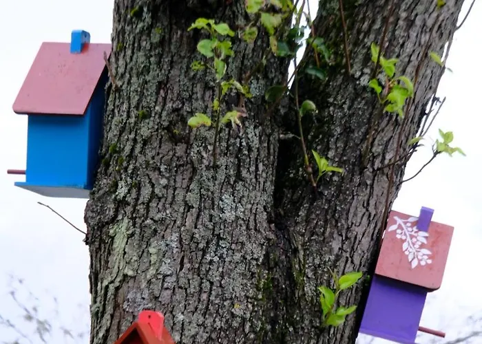 Naturel Sapanca Domek alpejski Mudanya