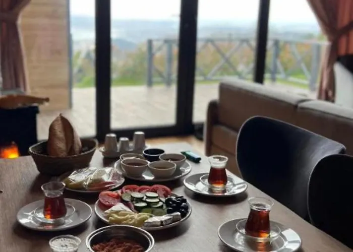 Naturel Sapanca * Mudanya